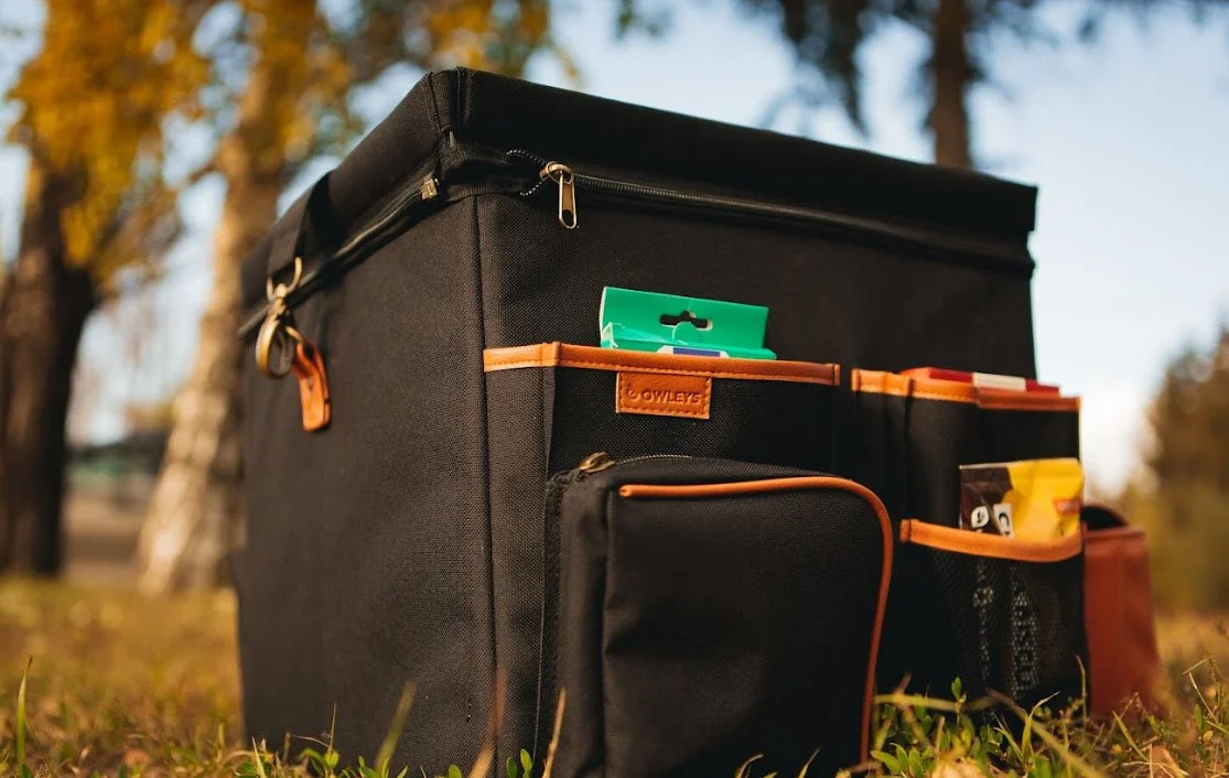 Nissan Rogue trunk organizer