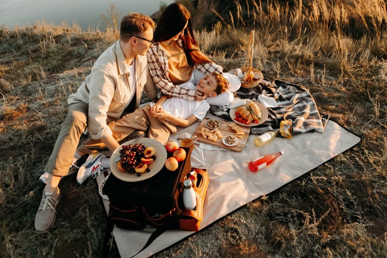 high quality picnic blanket