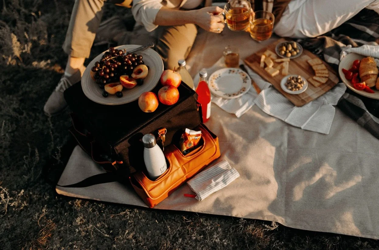 high quality picnic blanket